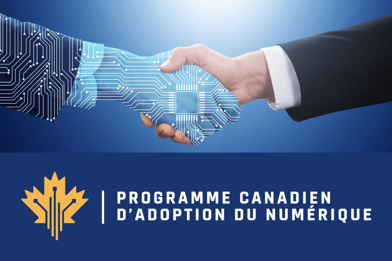 PCAN pour économiser sur votre logiciel ERP